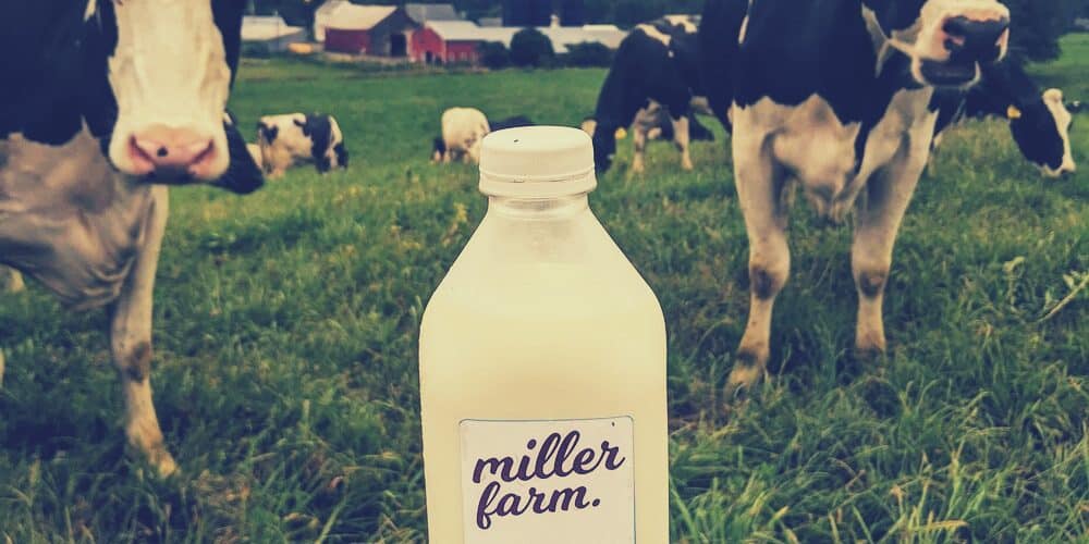 Miller Farm