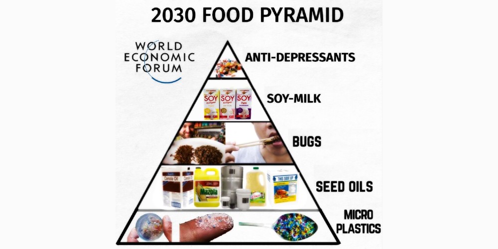 WEF Food Pyramid